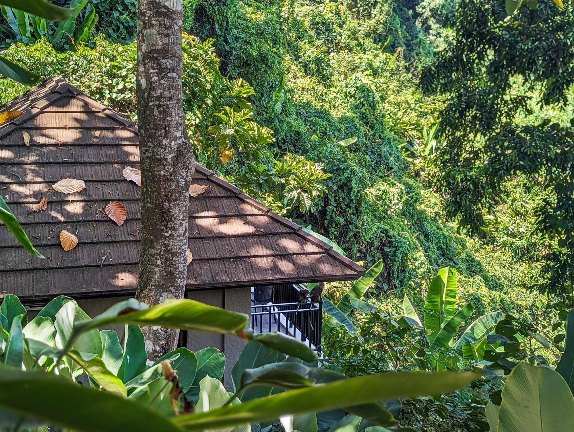 Perch El Nido'S Seaview Villas Overlooking Marimegmeg Exterior photo