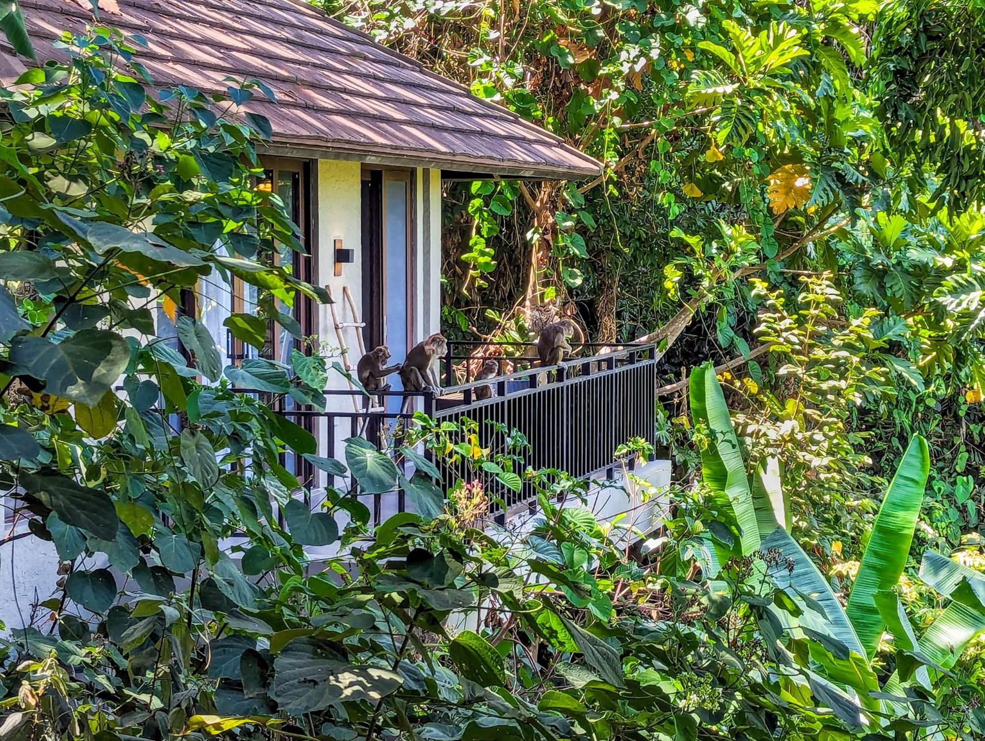 Perch El Nido'S Seaview Villas Overlooking Marimegmeg Exterior photo